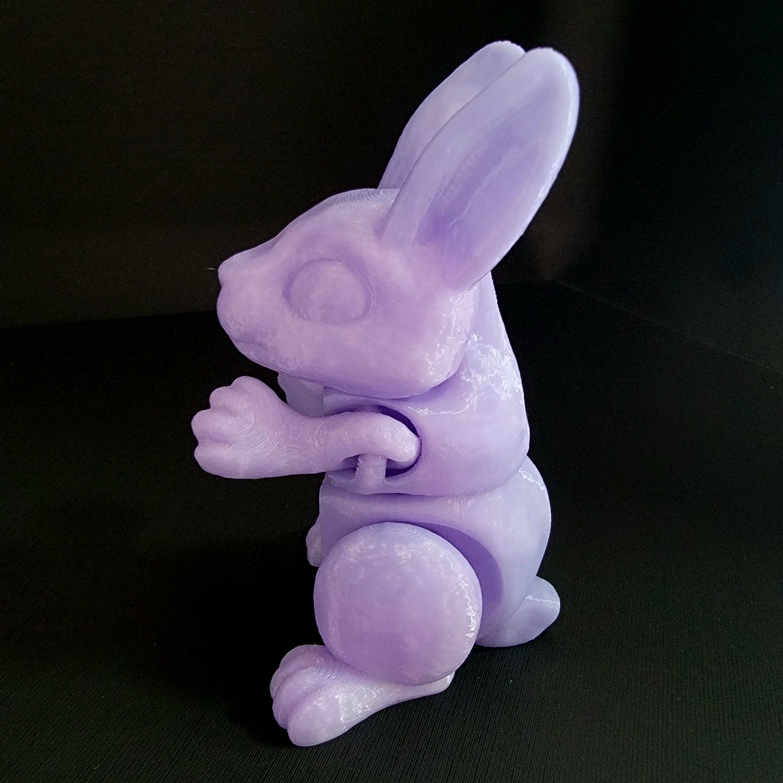Bunnies!