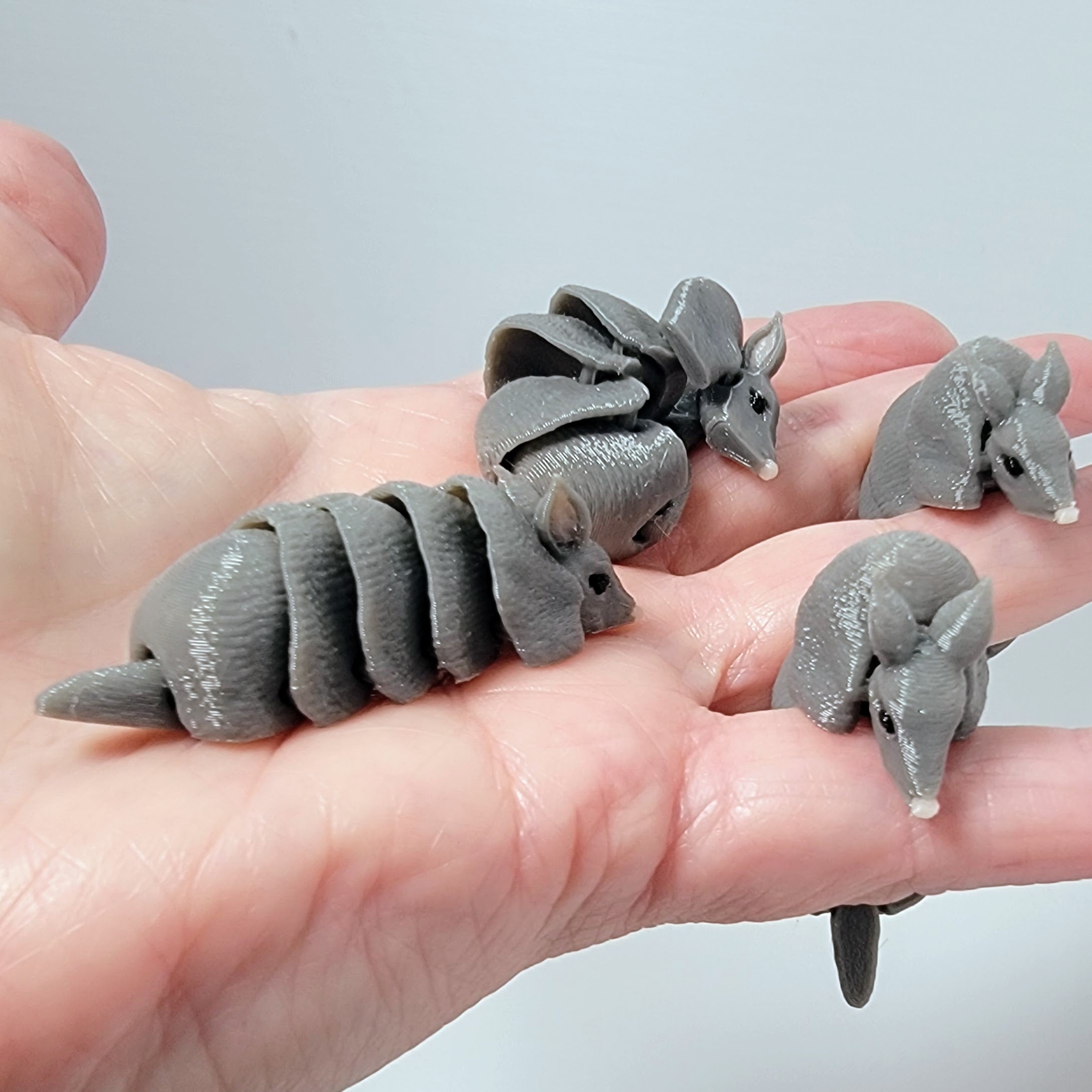 Mini Armadillo