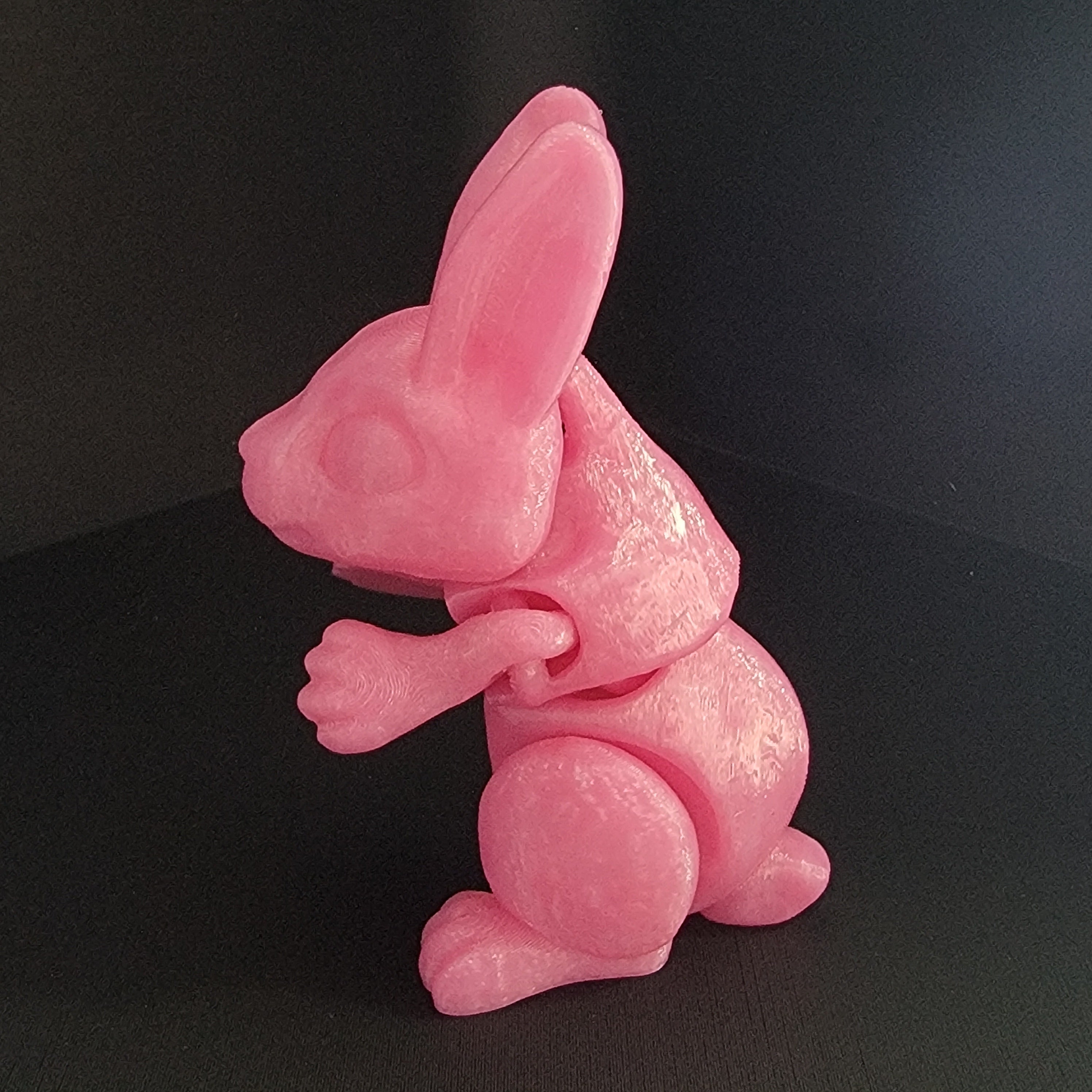 Bunnies!