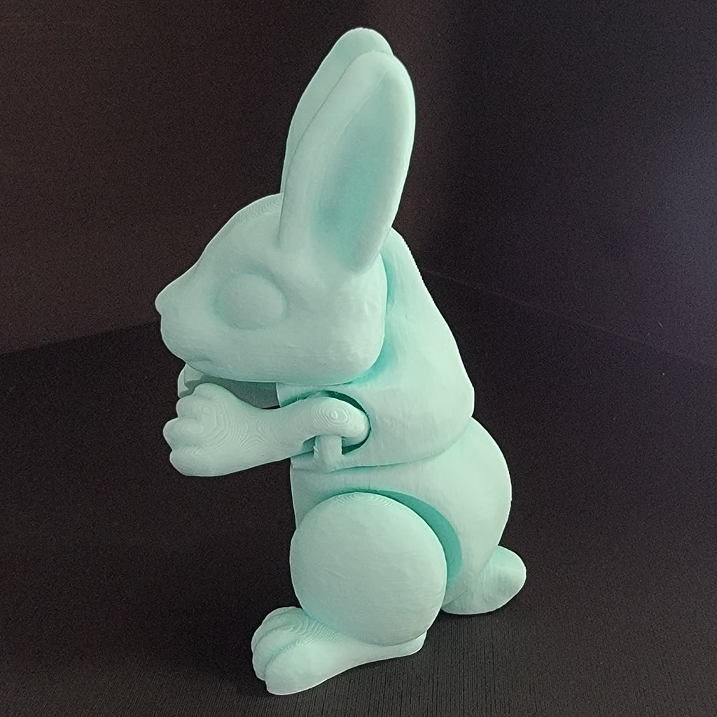 Bunnies!