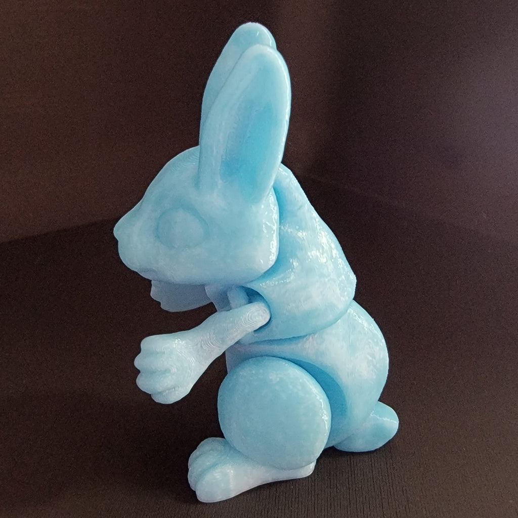 Bunnies!