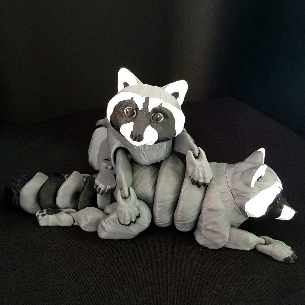 Raccoon