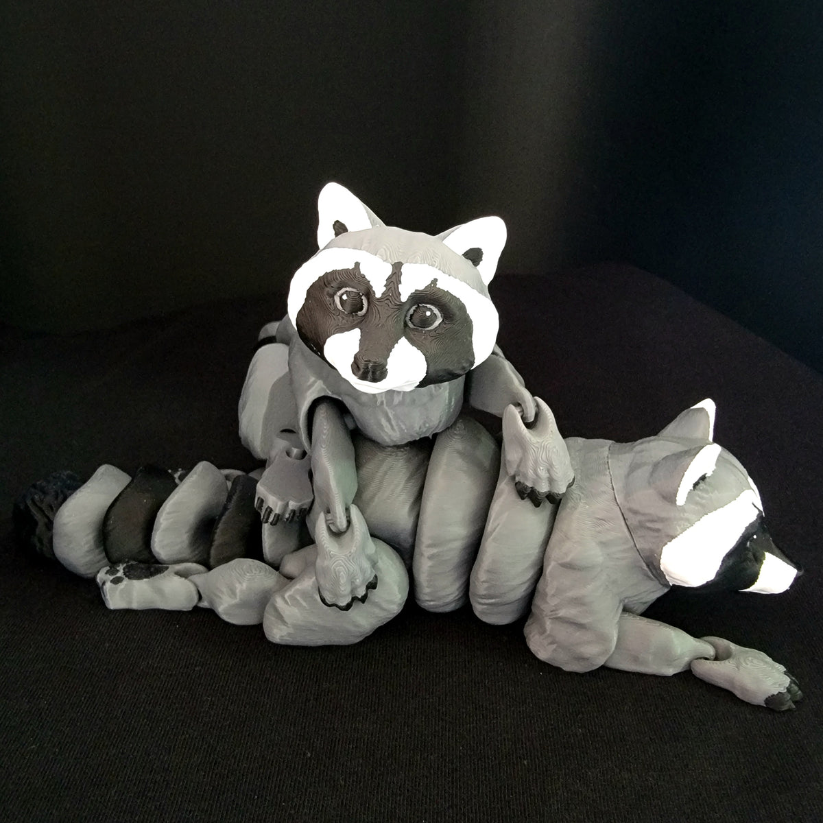 Raccoon