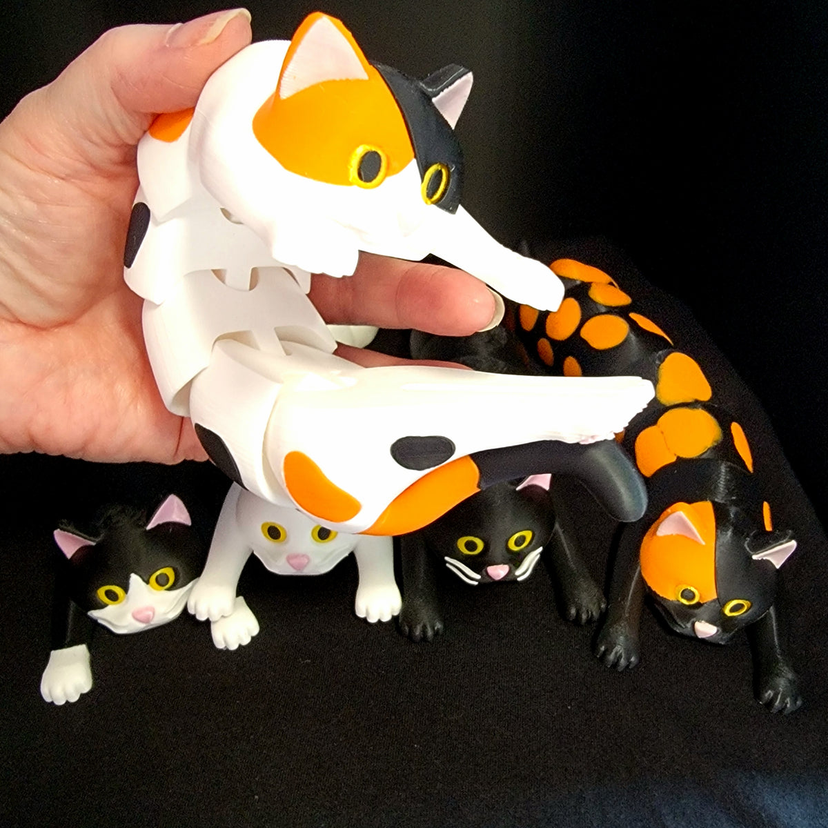 Flexi Cats