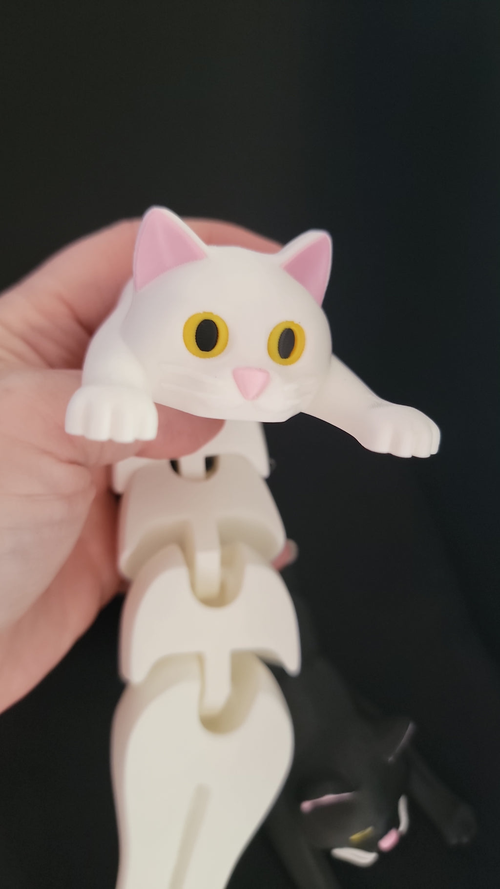Flexi Cats