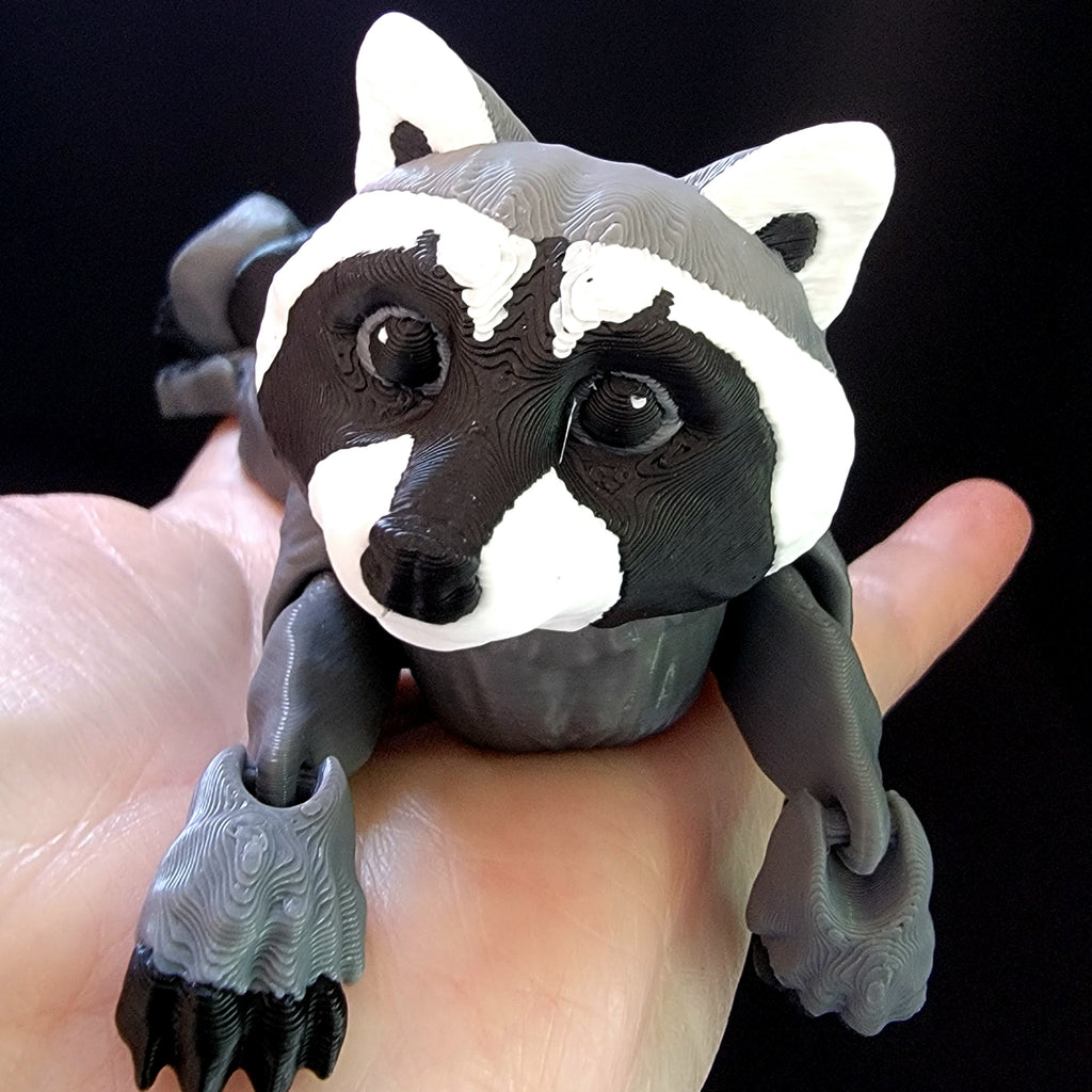 Raccoon