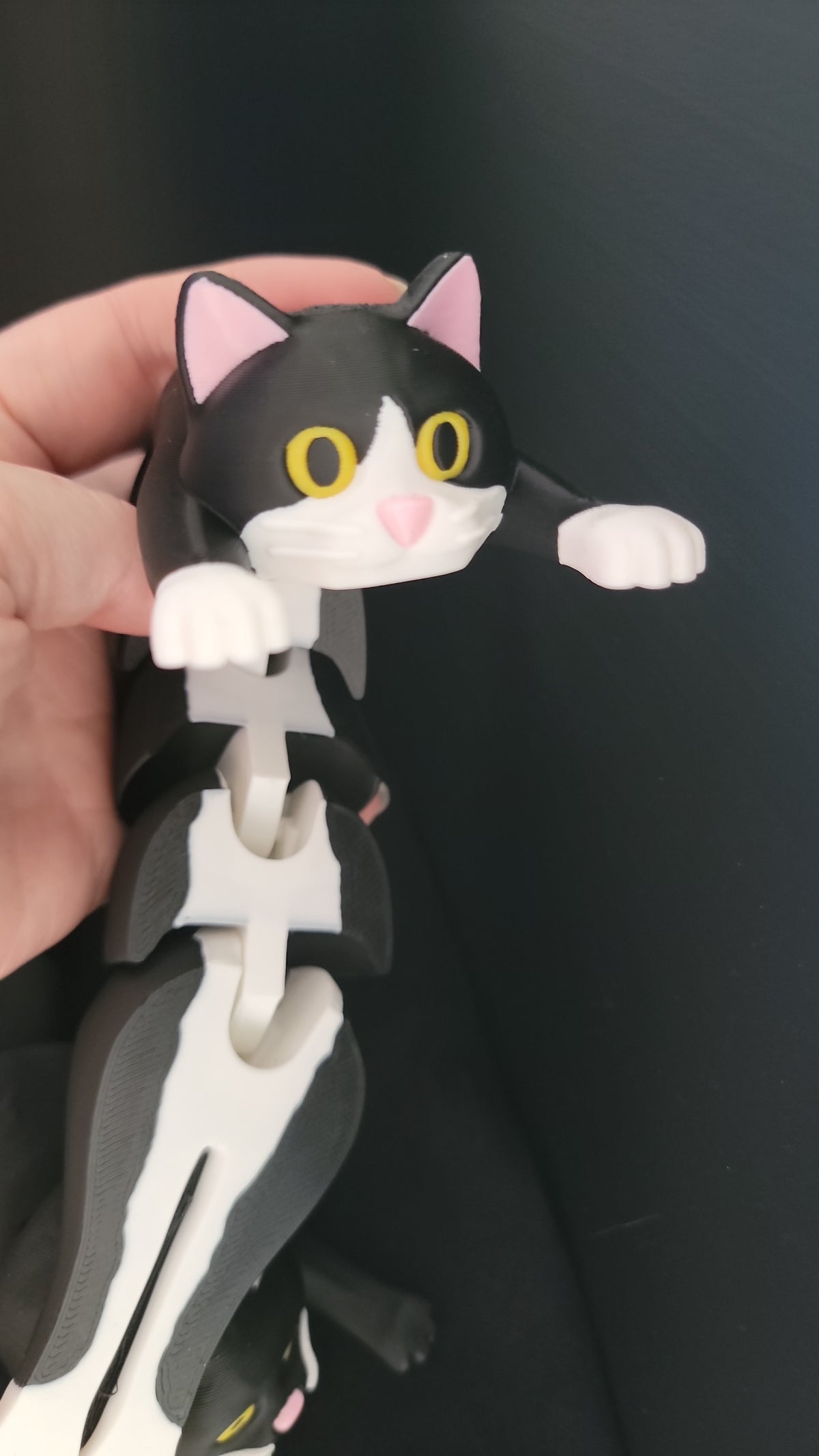 Flexi Cats